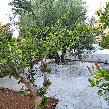 Apartamento Cretanvibes Hersonissos (Crete)