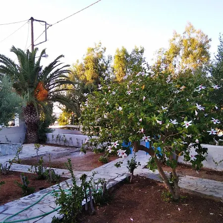 Cretanvibes * Hersonissos (Crete)